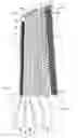 Fig. 01 - Integrated circuit cooled turbine blade