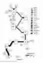 Fig. 09 - GENERATING STEAM FROM CARBONACEOUS MATERIAL