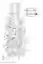 Fig. 09 - Multi-mode variable cam timing phaser