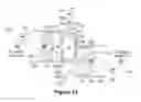 Fig. 22 - Spool shuttle crossover valve and combustion chamber in split-cycle engine