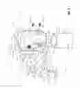 Fig. 07 - QUICK-RELEASE COUPLING ASSEMBLY FOR UPRIGHT MEMBERS OF A WALKER APPARATUS