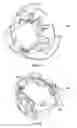 Fig. 08 - Valve body rough-in guide