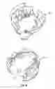 Fig. 09 - Valve body rough-in guide