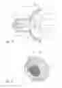Fig. 03 - Illuminant with LEDs