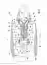 Fig. 02 - Combustor assembly for a turbine engine