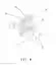 Fig. 09 - Gas safety ignition switch