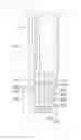 Fig. 06 - Outdoor unit for air conditioner