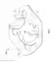 Fig. 05 - Retention member for perforating guns