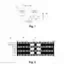 Fig. 02 - Multi-track absolute encoder