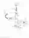 Fig. 02 - Microspectroscope including optical fibers and spectroscope