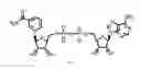 Fig. 02 - DIAGNOSTIC PRODUCTS HAVING AN ENZYME AND A STABILIZED COENZYME