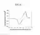 Fig. 07 - Cell for felt electrode characterization