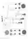 Fig. 22 - Droplet microfluidic device and methods of sensing the results of an assay therein