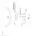Fig. 02 - Transmission of information associated with a possible sensor fault of a magnetic sensor