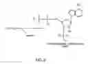 Fig. 04 - HOMOGENOUS POPULATIONS OF MOLECULES