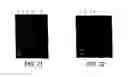 Fig. 11 - HOMOGENOUS POPULATIONS OF MOLECULES