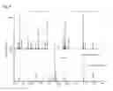 Fig. 06 - Protein detection method using mass spectrometry