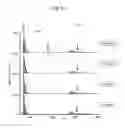 Fig. 07 - Protein detection method using mass spectrometry