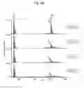 Fig. 08 - Protein detection method using mass spectrometry