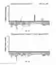 Fig. 07 - METHODS FOR DIAGNOSING CELIAC DISEASE USING CIRCULATING CYTOKINES/CHEMOKINES