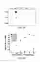 Fig. 03 - METHODS AND MATERIALS FOR DETECTING C9ORF72 HEXANUCLEOTIDE REPEAT EXPANSION POSITIVE FRONTOTEMPORAL LOBAR DEGENERATION OR C9ORF72 HEXANUCLEOTIDE REPEAT EXPANSION POSITIVE AMYOTROPHIC LATERAL SCLEROSIS
