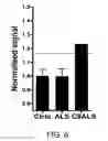 Fig. 07 - METHODS AND MATERIALS FOR DETECTING C9ORF72 HEXANUCLEOTIDE REPEAT EXPANSION POSITIVE FRONTOTEMPORAL LOBAR DEGENERATION OR C9ORF72 HEXANUCLEOTIDE REPEAT EXPANSION POSITIVE AMYOTROPHIC LATERAL SCLEROSIS