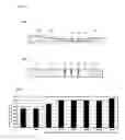 Fig. 02 - IMMUNOCHROMATOGRAPHIC ANALYSIS KIT, IMMUNOCHROMATOGRAPHIC ANALYSIS DEVICE, AND IMMUNOCHROMATOGRAPHIC ANALYSIS METHOD
