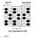 Fig. 02 - Red blood cell detection