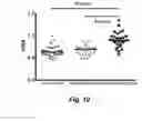 Fig. 13 - HIGH THROUGHPUT BIOCHEMICAL FLUOROMETRIC METHOD FOR MEASURING HDL REDOX ACTIVITY