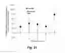 Fig. 24 - HIGH THROUGHPUT BIOCHEMICAL FLUOROMETRIC METHOD FOR MEASURING HDL REDOX ACTIVITY