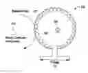 Fig. 01 - Rogowski coil based alarm system