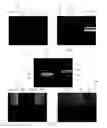 Fig. 14 - Transmission signal shaping systems and methods