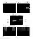 Fig. 14 - Multichannel sonar systems and methods