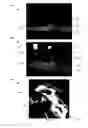 Fig. 15 - Multichannel sonar systems and methods