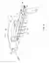 Fig. 08 - Positron emission tomography detector assembly for dual-modality imaging