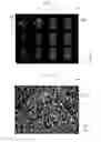 Fig. 06 - Image display device
