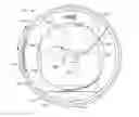 Fig. 01 - THERMOSTAT ELECTRONIC DISPLAY AND LENSING ELEMENT THEREFOR