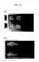 Fig. 21 - Liquid crystal display device
