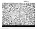 Fig. 05 - Curved liquid crystal display and method of manufacturing the same