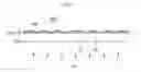 Fig. 22 - Curved liquid crystal display and method of manufacturing the same