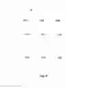 Fig. 08 - PIXEL ELECTRODE UNIT, DISPLAY PANEL AND LIQUID CRYSTAL DISPLAY DEVICE