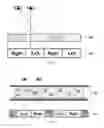 Fig. 03 - LIQUID CRYSTAL CELL METHOD FOR MANUFACTURING SAME AND DISPLAY DEVICE