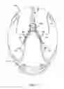Fig. 08 - Removable camera mount for a helmet