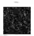 Fig. 06 - Photosensitive compositions, preparation methods thereof, quantum dot polymer composite prepared therefrom