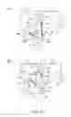 Fig. 12 - Developer accommodating container with projected shaped portion for contacting toner seal member