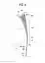 Fig. 07 - Transfer device and image forming apparatus