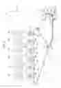 Fig. 03 - Image forming apparatus