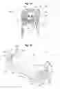 Fig. 12 - Fuser device and image forming apparatus