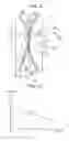 Fig. 09 - Image forming apparatus for controlling a traveling trajectory of a belt