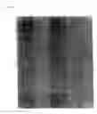 Fig. 11 - Method of producing volume hologram laminate